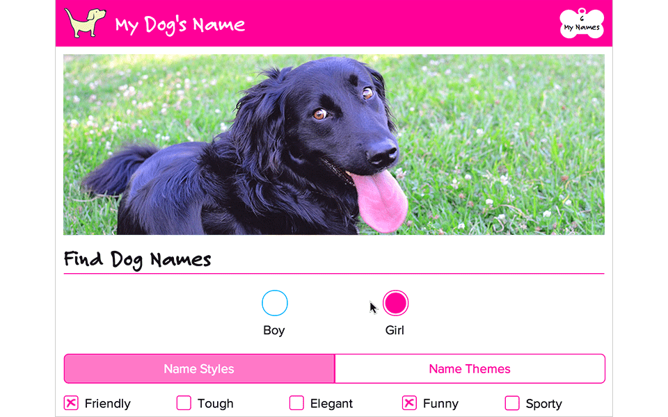 my dogs name animation